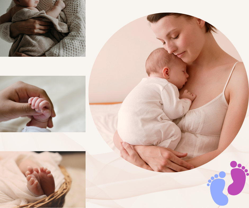 gọi sữa về cho mẹ sau sinh