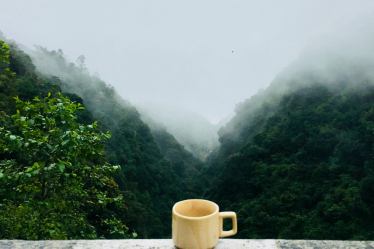kỹ năng sinh tồn