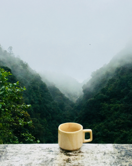 kỹ năng sinh tồn