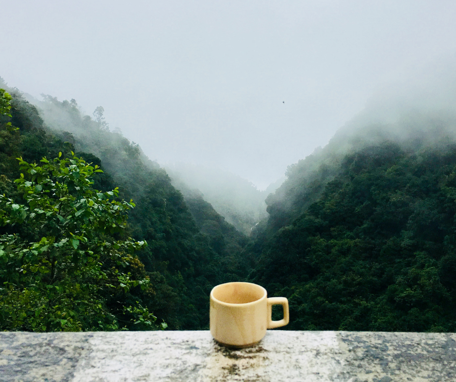 kỹ năng sinh tồn