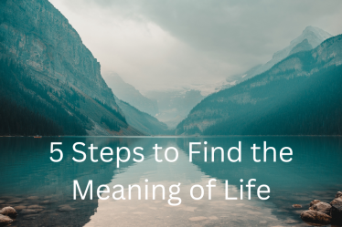 find the meaning of life
