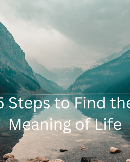 find the meaning of life