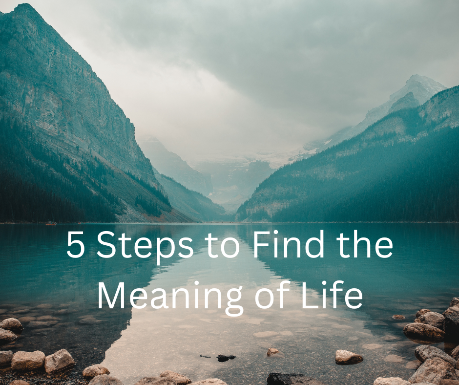 find the meaning of life