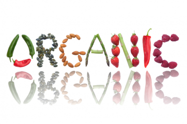 Organic formula for baby's health