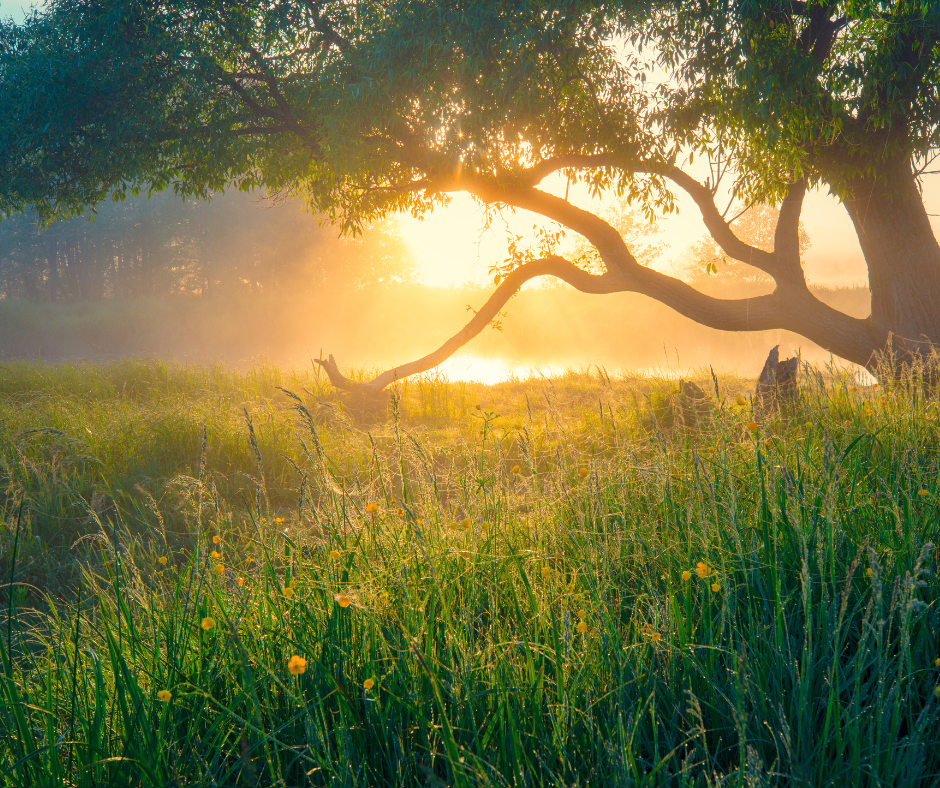 spending time in nature
