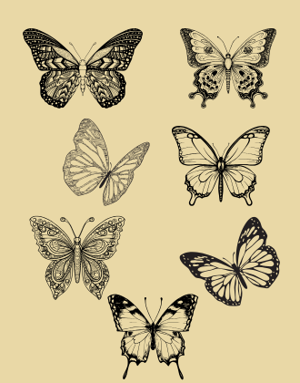 Butterfly Wall art 1