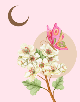 Butterfly Wall art 2