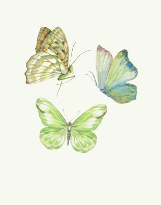Butterfly Wall art 4